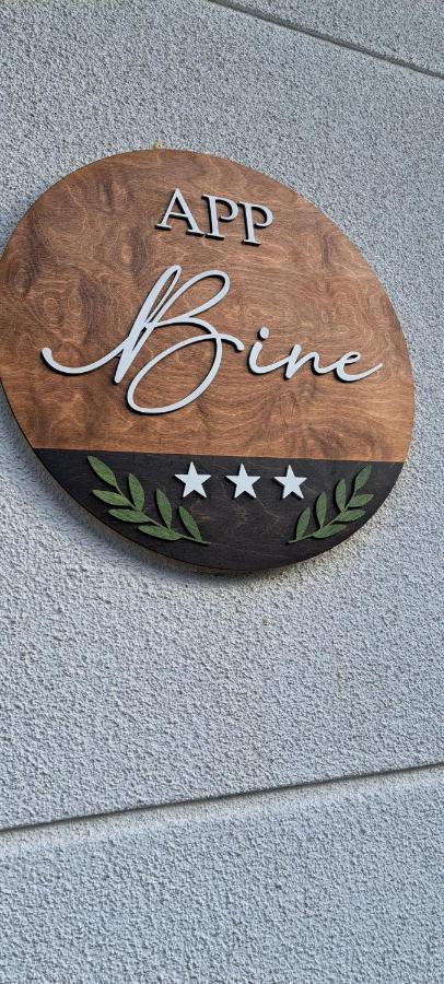 Apartma Bine 布莱德 外观 照片